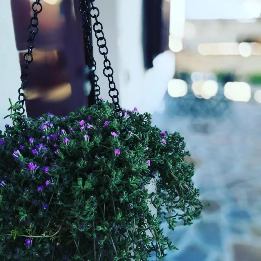 B&B Colle Tarigni Manoppello المظهر الخارجي الصورة